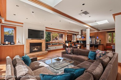 1085 Cemetery Ln unit A, Aspen, CO 81611 - photo 3