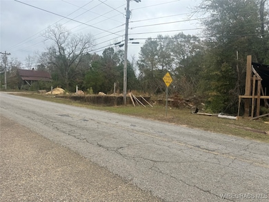 31487 County Road 107, Red Level, AL 36474 - photo 3