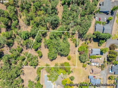 1111 NE Crescent Aly, Roseburg, OR 97470 - photo 2