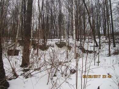 Semi-Wooded Land