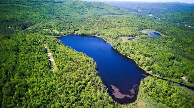 00 Hidden Acres Dr unit 30.1 & 30.2, Sugar Hill, NH 03586 - photo 5