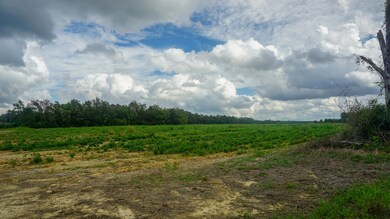 23.52 Ac Hwy 63 - S, Lucedale, MS 39452 - photo 7