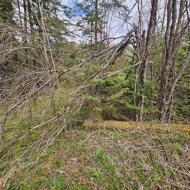 Cool old foundation bordering property
