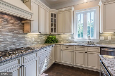 1717 Drewlaine Dr, Vienna, VA 22182 - photo 4