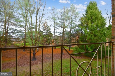 19 Rainflower Path unit 203, Sparks Glencoe, MD 21152 - photo 7