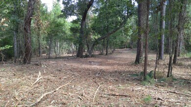 102 Calcos Ct, Stump Sound, NC 28445 - photo 4