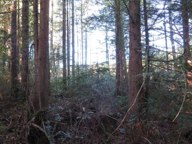 0 Wayne Rd W unit 3 18654977, Seabeck, WA 98380 - photo 2