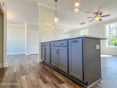 508 Goldeneye Ct, Beaufort, NC 28516 - photo 4