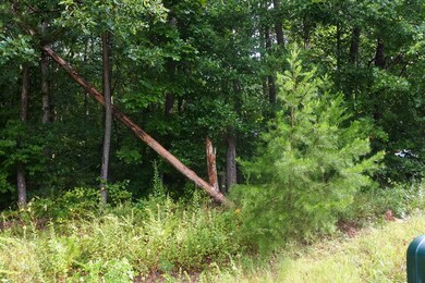 Lot 36 N Shady Lane Loop, Clarkrange, TN 38553 - photo 4