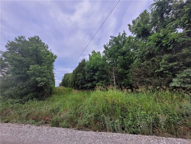 Tract 2 Mount Olive Wc 44 Rd, Elkins, AR 72727 - photo 4