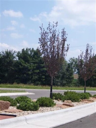 L105 Florance Ruth Ln, Sun Prairie, WI 53590 - photo 2