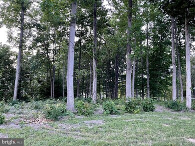 Lot 18 Shady Oaks Dr, Louisa, VA 23093 - photo 7