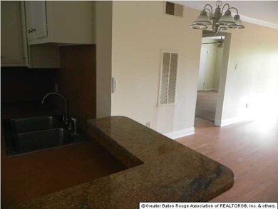 Granite counter serves as bar during entertaining