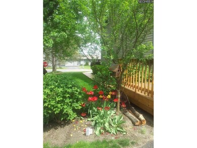 Yard immaculately maintained