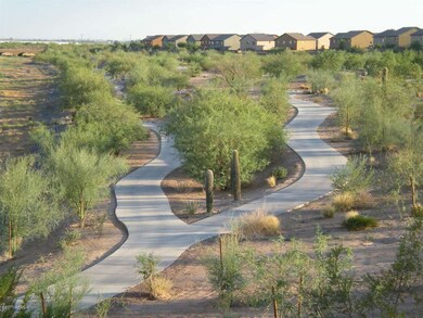 Community Walking Paths