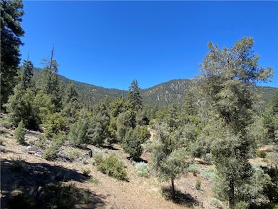 1912 Ironwood Dr, Pine Mountain Club, CA 93252 - photo 5