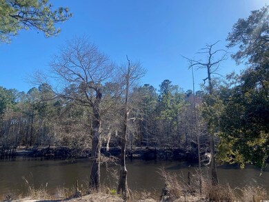 124 Lure Ct, Conway, SC 29526 - photo 4