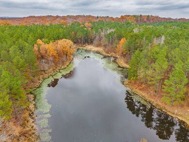 85  ac County Road 291, Water Valley, MS 38915 - photo 7