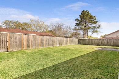 View of the back yard