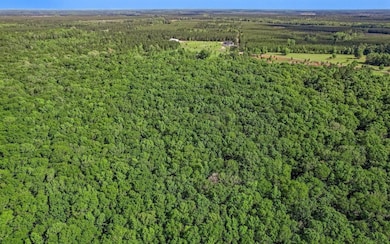 54452 Wildlife Way, Callahan, FL 32011 - photo 5