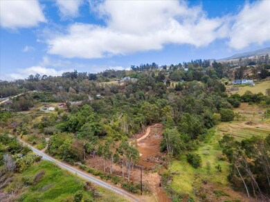 0 Haleakala Hwy unit 399797, Kula, HI 96790 - photo 4