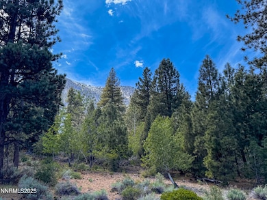 Nature's Edge Lot 3