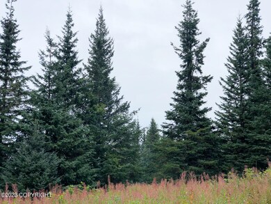 W3 Alaskan Wildwood Ranch(r), Nikolaevsk, AK 99556 - photo 2