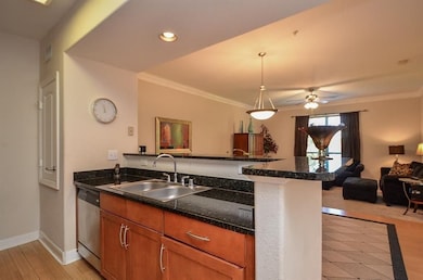 City Plaza at Town Square unit 201, Sugar Land, TX 77479 - photo 4