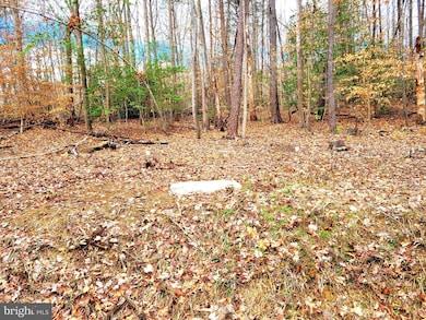 0 Decatur Rd unit VAST2027148, Stafford, VA 22554 - photo 5