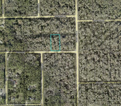 4030 Walnut Ave, Bunnell, FL 32110 - photo 2