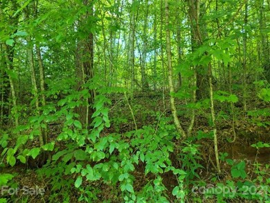 000 Arrowhead Ln unit 13, Burnsville, NC 28714 - photo 7