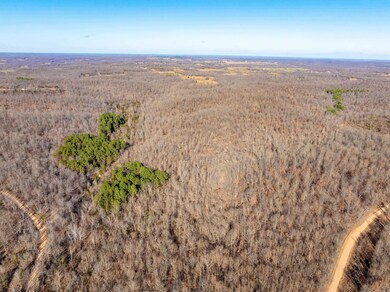 0 Pleasant Run Rd unit 25048737, Mammoth Spring, AR 72554 - photo 6