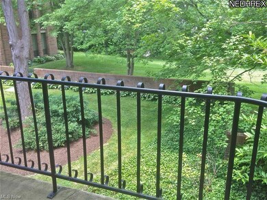 Beautiful view from the balcony