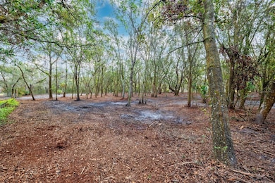 Front Left Corner looking into property