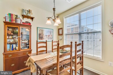 23544 Belvoir Woods Terrace, Ashburn, VA 20148 - photo 6