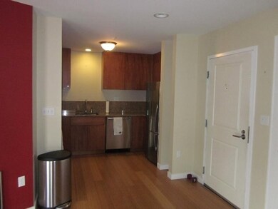 Audubon Park unit 607, Boston, MA 02215 - photo 6