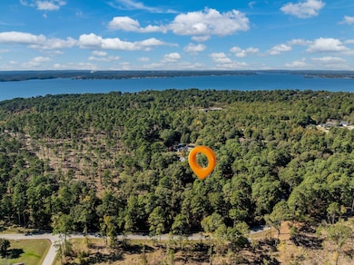 0 Pintail Lot 5, Flint, TX 75762 - photo 3