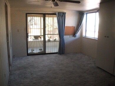 Back Patio Door