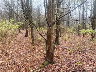 0 Gillies Hill Rd unit S1649074, Birdsall, NY 14822 - photo 6