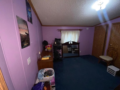 207 S Main St, Fithian, IL 61844 - photo 5