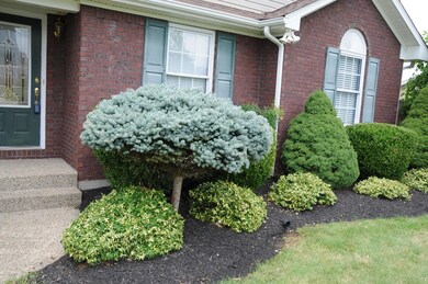 157 Aulbern Dr W, Mount Washington, KY 40047 - photo 3