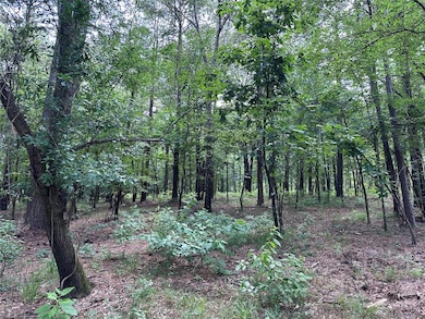 View of woods