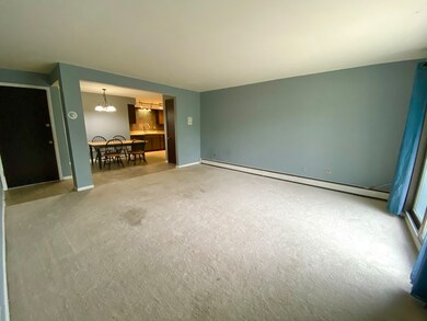 1220 S Lorraine Rd unit 3E, Wheaton, IL 60189 - photo 2