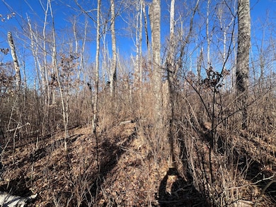 ON Heart Lake Rd, Conover, WI 54519 - photo 7