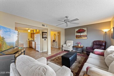07-007-living-room