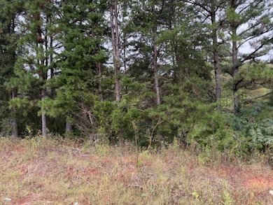 19.3 County Road 200, Danville, AL 35619 - photo 2