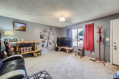 4038 E 118th Ave, Thornton, CO 80233 - photo 5