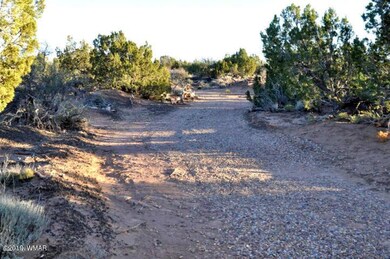 Lot 49C Justin Ln Ranch of The White Mtn