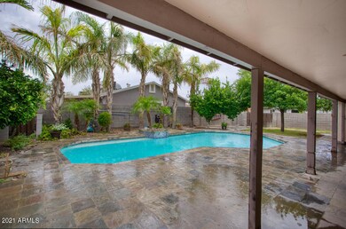 patio 2 (1)