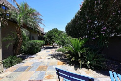 Backyard2